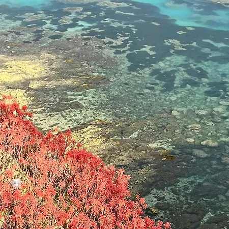 住宿加早餐酒店 Marotta House 3*